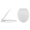 Nui Carlton Soft Close Toilet Seat -Plumbing Supplies Sales carlseat l
